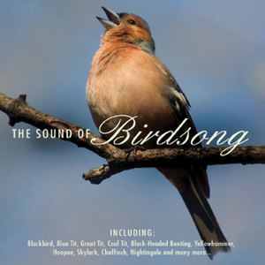 Birdsong