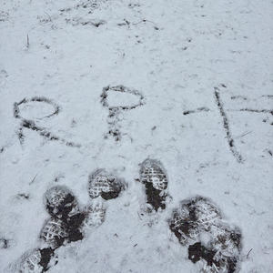 Dip (REAPMIX|Explicit)