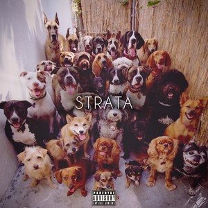 Strata (Explicit)