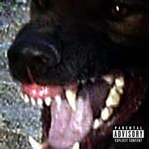 CANINE (Explicit)