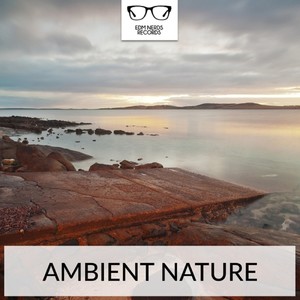 Mirror Man (Original Mix)