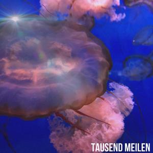 Tausend Meilen (Explicit)