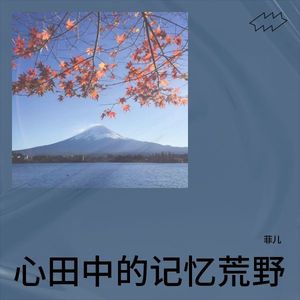 心田中的记忆荒野