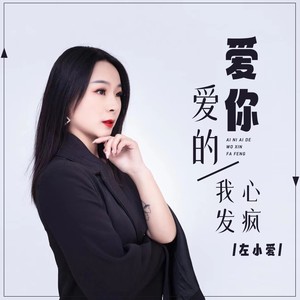 爱你爱的我心发疯 (DJ默涵版)封面