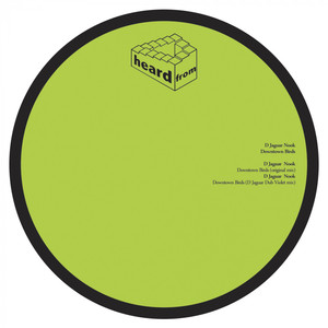 Downtown Birds (Original Mix)