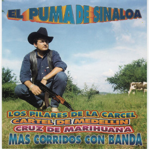 Mas Corridos Con Banda