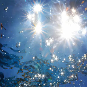 那段泥泞路 我从未说过麻木