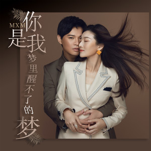 你是我梦里醒不了的梦 (DJ枫叶版)