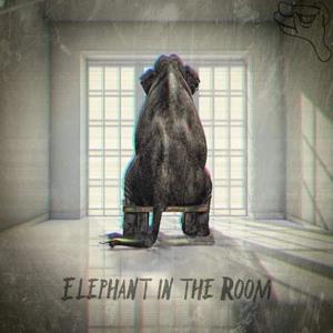 Elephant in the Room