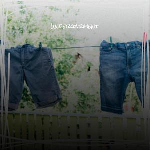 Undergarment