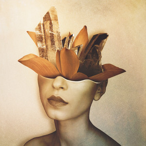 All the **** that you do