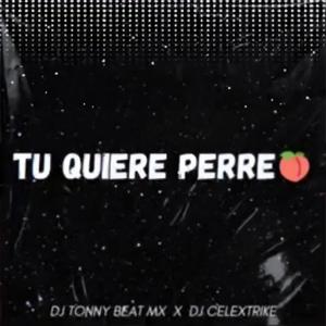 Tu Quiere Perreo (feat. Tonny Beat)