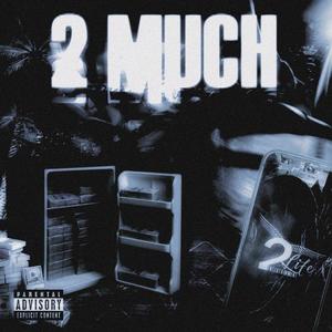 2 Much (feat. B.Synco) (Explicit)