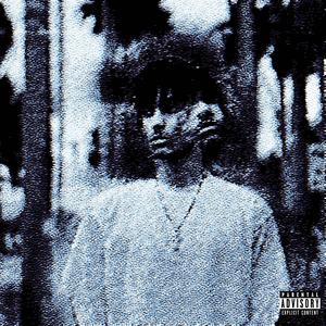 MR. JAVINCII (feat. kurtains|Explicit)