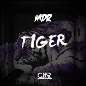 Tiger (Original Mix)