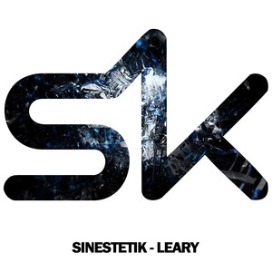 Leary (Original Mix)