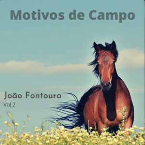 Motivos de Campo 2