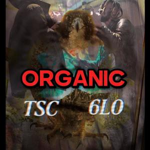 GMO (feat. Thestarculture) (Explicit)