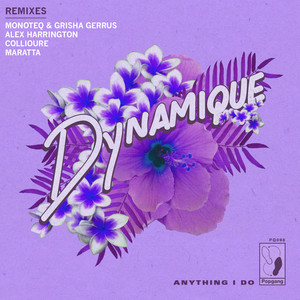 Anything I Do (Collioure remix)