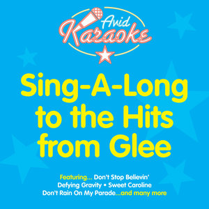 Sing A Long To The Hits From Glee (Professional Backing Track Version)