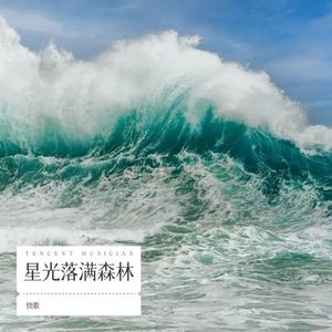 快歌 - 星光落满森林