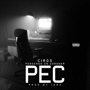 P.E.C (Explicit)