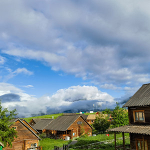 让花成花让树成树 (伴奏)