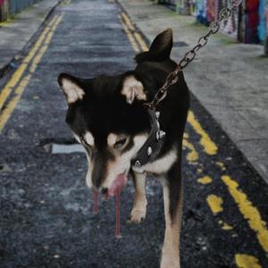 710 S Western Ave (feat. emoflytrap & whata****ing*****) (Explicit)