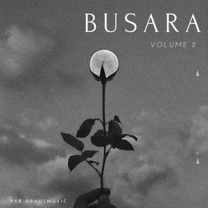 BUSARA, Vol. 2 (Explicit)