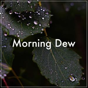 Morning Dew