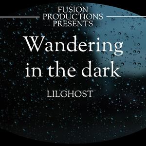 WANDERING IN THE DARK (feat. LILGHOST) (Explicit)