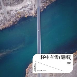 柸中有雪