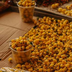 I’ll Decide (Explicit)