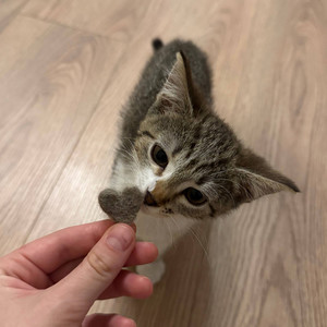 малыш я в ахуе (Explicit)