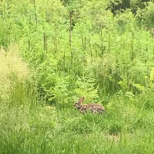 theremin bzzzzzzzzzz (Explicit)