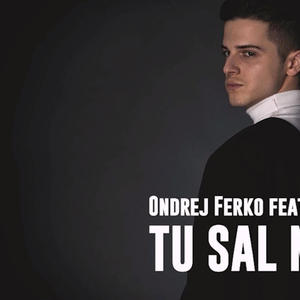 Tu Sal Miri (feat. Vajdis)