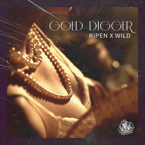 Gold Digger (Explicit)