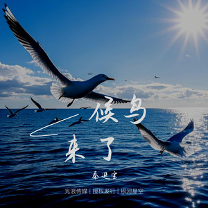 候鸟来了 (伴奏)