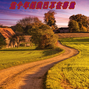 这个年纪我已不在将就 (DJ版)