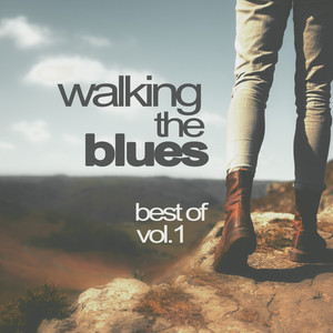 Walking the Blues - Best of, Vol. 1