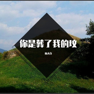 你是葬了我的坟