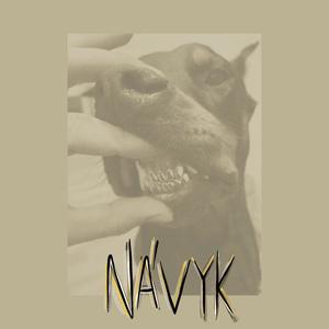 Návyk (feat. Lil Dee 3112.) [Explicit]