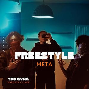 FREESTYLE META (TDO GVNG) (feat. ATN & CYLVER)