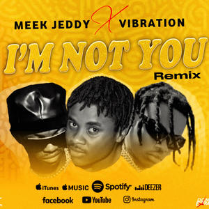 I'm not you (feat. Vibrations) (Remix|Explicit)