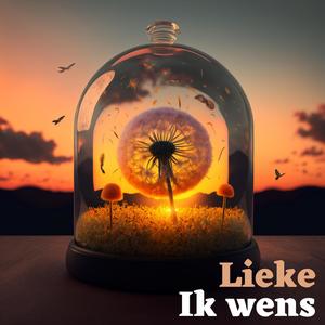 Ik wens