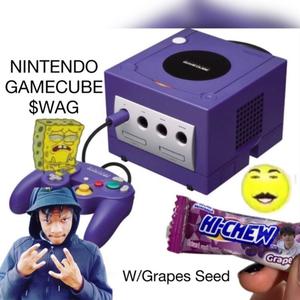 Nintendo Gamecube $wag (feat. Grapes Seed) [Explicit]