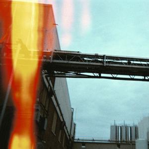 Springfield (Acoustic|Explicit)