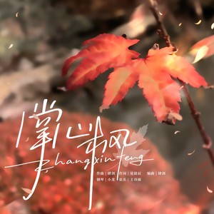 掌心枫伴奏 (伴奏)