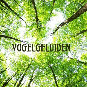 Vogelgeluiden (Muziektherapie, Meditatie Muziek voor Ontspanning, Rest, Ontspannen, Massage en Slape