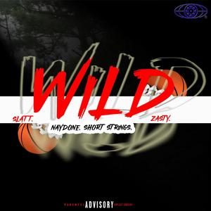 WiLD (feat. Slatt, Naydone & Zasty)